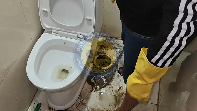 Dhal Jam Safai Sewa
